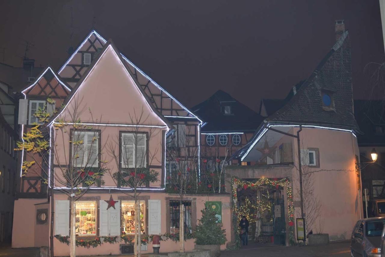 Chez Myriam Bed And Breakfast Studio Parme Colmar Zewnętrze zdjęcie