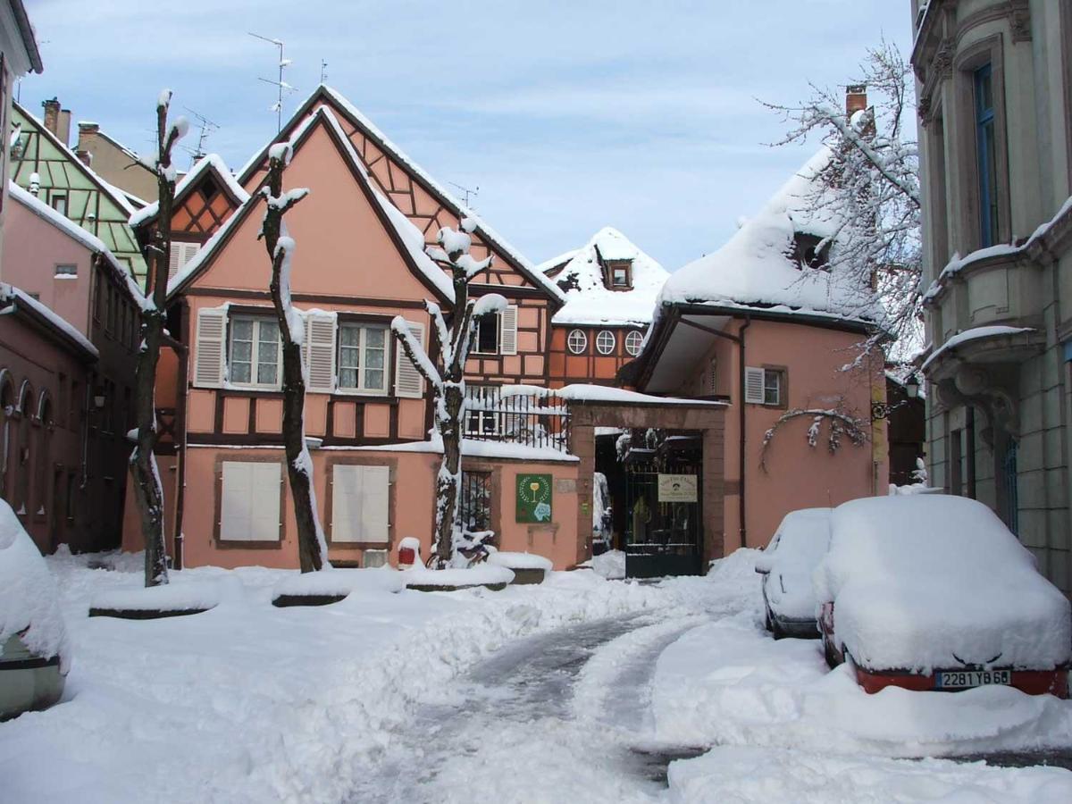 Chez Myriam Bed And Breakfast Studio Parme Colmar Zewnętrze zdjęcie
